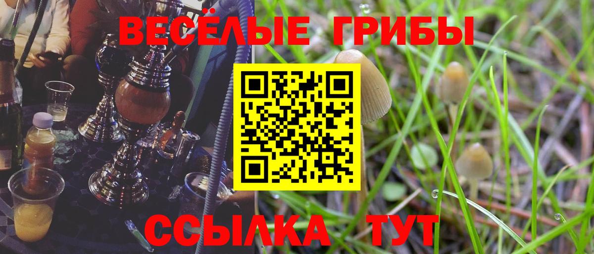 Вольск  сколько стоит  Псилоцибиновые грибы Cubensis  Вход с VPN  Псилоцибиновые грибы MAGIC MUSHROOMS 